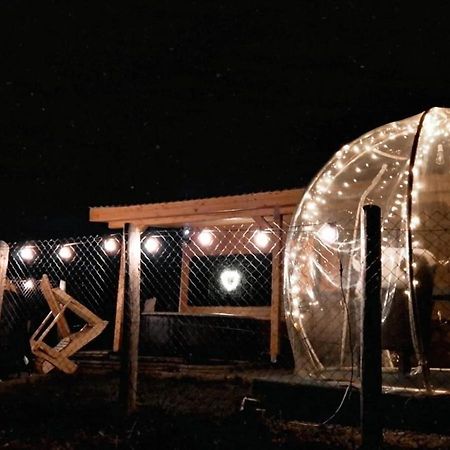 Tiny House Colibita Villa Exterior foto